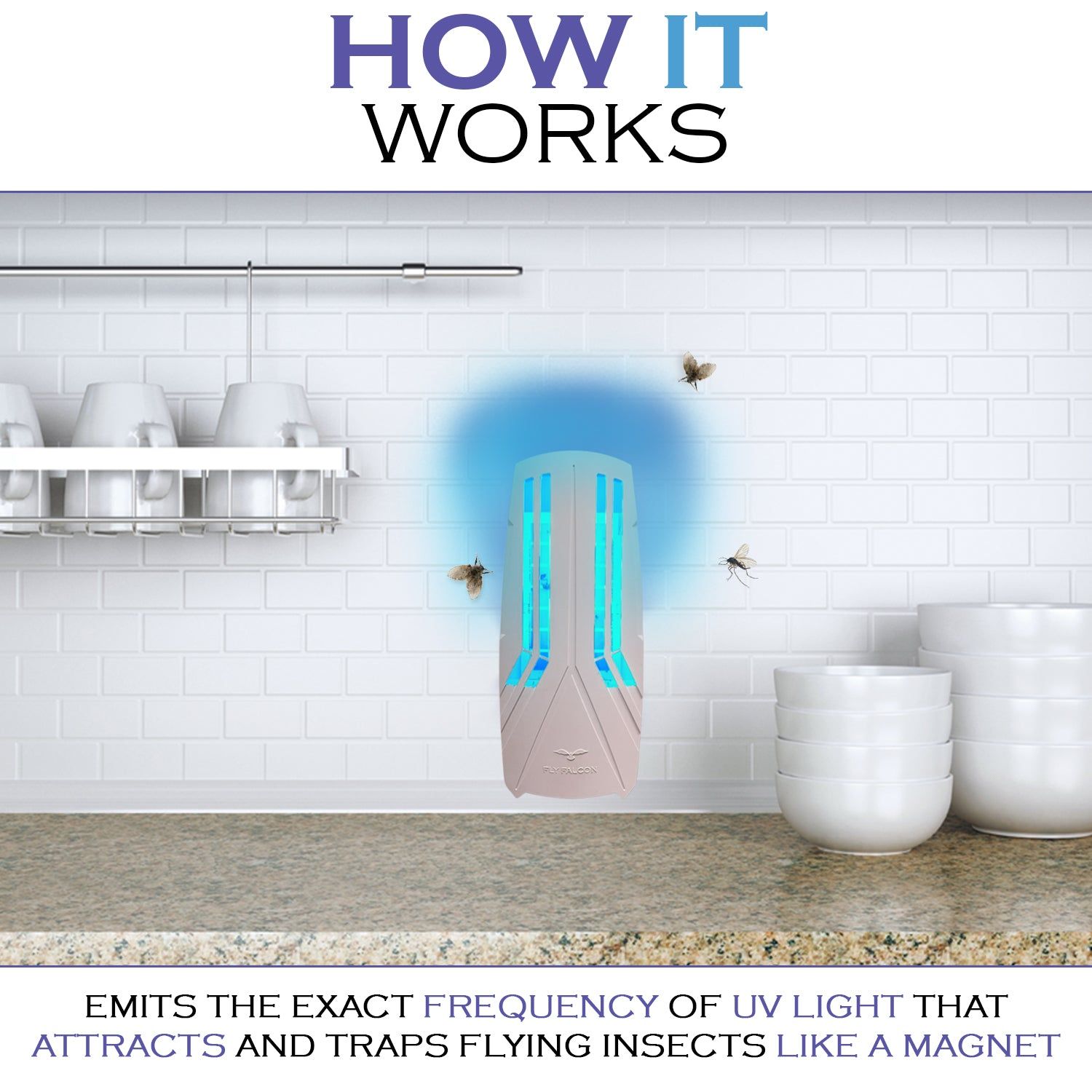 Plug in Flying Insect Trap with UV Light Lure - Perfect for Mosquito, Gnats, Moths, Flies & Fleas - TempleTape.com